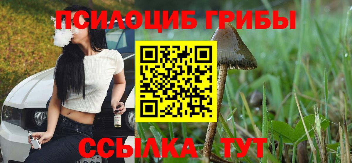 Канабис Дивногорск