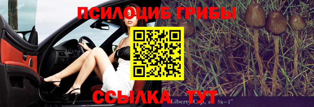 Дивногорск  Галлюциногенные грибы Magic Shrooms  Галлюциногенные грибы мицелий  Вход с VPN 